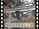 秋の弘前・八坂神社「鳥居と境内風情」