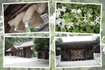 山陰「美保神社の神門」