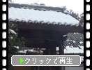 冬の光明禅寺「山門と築地塀」