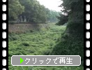 名古屋城址「夏の空堀と石垣」