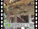 京都の醍醐寺「観音堂近くの鐘楼堂」
