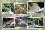 夏・深緑期の「龍門の滝」