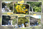 春の九重「龍門の滝」