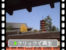 厳島神社から見た五重塔と千畳閣