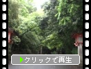 奈良「石上神宮の参道と風情」