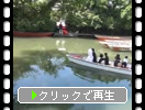初夏の水郷・柳川「舟と嫁入り」