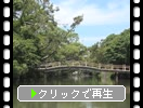 初夏の水郷・柳川「舟の橋下くぐり」