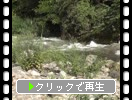 夏の昇仙峡「仙娥滝への渓流と滝口」