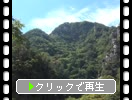 夏の昇仙峡「緑の森と岩」