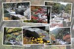 秋の昇仙峡「夢の松島と巨岩群」