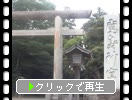 初夏の鹿島神宮「鳥居と参道」