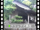 初夏の鹿島神宮「仮殿」