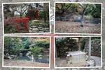 秋の浜松城「構内の庭・神社・井戸」