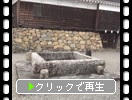 福知山城「井戸と寺石」