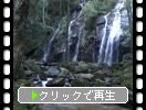 宮津の名瀑「金引の滝」