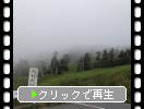 霧の渋峠（志賀草津高原ルート）
