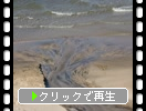 糸島・姉子の浜「海岸へ流れる砂鉄」
