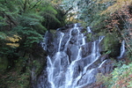 秋・紅葉期の「白糸の滝」