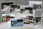 冬の大濠公園「橋群と中ノ島と浮見堂」