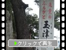 和歌の浦「玉津島神社の境内」