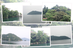 琵琶湖から見た竹生島と森