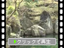 紀州の和歌山城「西の丸庭園」