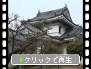 和歌山城「乾櫓と白梅」