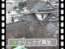 紀州の和歌山城「天守閣からの眺め」