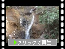 残雪期の戸隠神社「中社奥の滝」