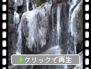 半氷結した糸島「白糸の滝の氷柱」
