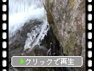 冬の滝「氷結した流木」