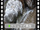 氷瀑の糸島「白糸の滝」