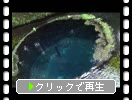 春の柿田川湧水「第2展望台の湧水」