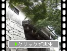 新緑期の唐津城「本丸櫓門」