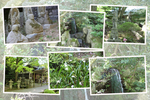 春の雷山千如寺「寺庭の滝と周辺」