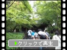夏の円覚寺「総門と参道と森」