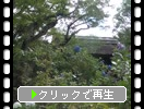 夏の鎌倉・東慶寺「山門と参道石段」