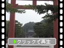 鎌倉・鶴岡八幡宮「参道と太鼓橋・鳥居」
