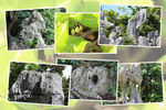 沖縄の大石林山「琉球石灰岩の奇岩群」