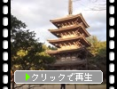 秋の醍醐寺「五重塔」
