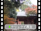 秋の醍醐寺「日月門と参道」