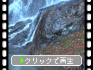 秋の糸島・白糸の滝「滝壺と渓流」