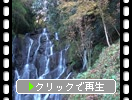秋の糸島・白糸の滝