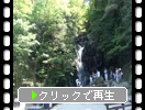 夏・緑葉期の糸島「白糸の滝」