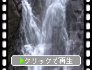 春・新緑期の糸島「白糸の滝」と「岩壁の飛沫」