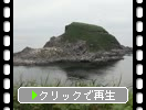 初夏の利尻島「ポンモシリ島と富士野園地」