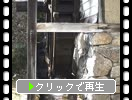 日本の古民家「水車小屋の外観」