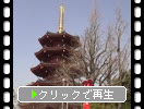 春の川崎大師「八角五重塔」
