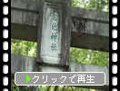 春の菊池神社「参道・神門・狛犬」