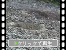 巨岩を活用した高石垣の段々畑